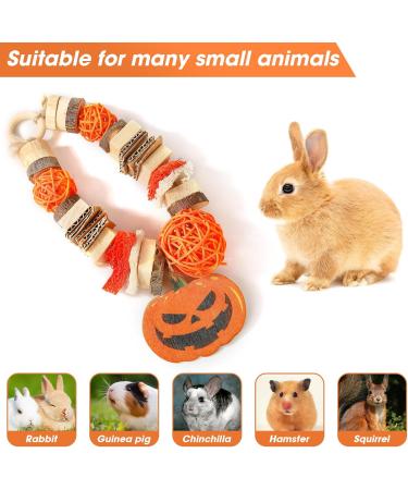 Shop Abiz Wooden Rabbit Toy & Dental Care Treats for Small Animals | Ideal for Hamsters Chinchillas Guinea Pigs & Mice - Buy Online on GoSupps.com