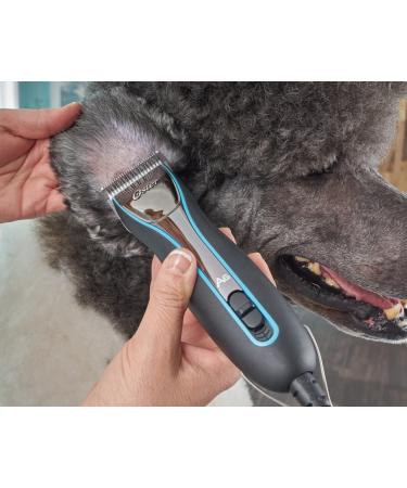 Oster A6 Cool Comfort Heavy Duty Clipper with Detachable Blade #10 - Aqua Sky - Buy Online on GoSupps.com