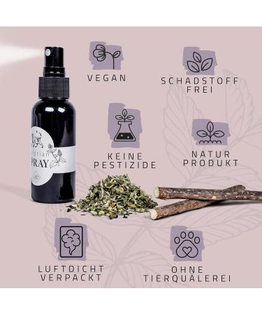 ne & no Gift Set: Premium Catnip Mix with Cat's Mint Matatabi Sticks & Valerian Spray - Airtight & Lovingly Packaged for Happy Cats - Buy Online on GoSupps.com