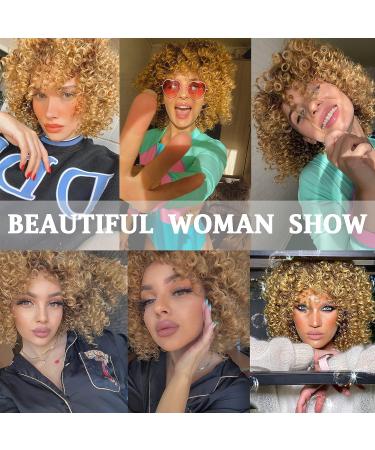 Xinran 14 Blonde Curly Afro Wig for Black Women - Brown to Blonde Mix - Synthetic 70s Kinky Afro Wig - Buy Online on GoSupps.com