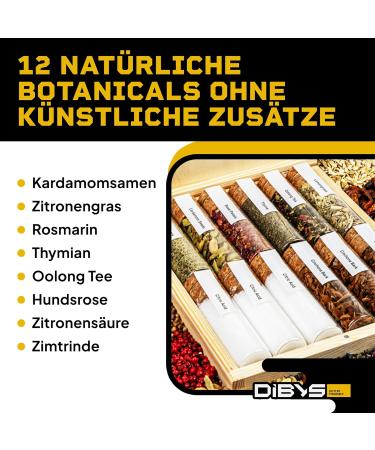 Dibys XL Tonic Spice Set | 12 Botanicals & Recipe Cards | Perfect Gin Tonic Gift for Men & Women | Premium Wooden Box Accessories - Buy Online on GoSupps.com