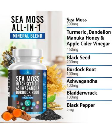 Buy Silicon Sea Moss & Black Seed Oil - 60 Count - Ashwagandha Bladderwrack & Burdock for Optimal Health | International Shipping Available - Buy Online on GoSupps.com