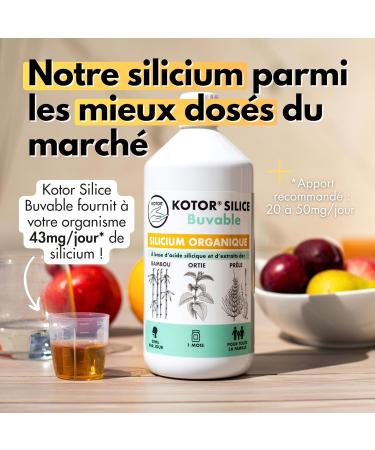 KOTOR DRINABLE SILICA 1L | Pack of 3 | French & Natural Organic Silicon | Health of Joints Cartilage Bones Skin Hair Nails | Silicon + Nettle + Horsetail + Bamboo | 3 Months - Buy Online on GoSupps.com