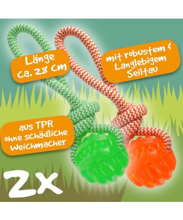 Rootnoot Frisbee for Dogs | Soft Stable Floatable & Tooth-Gentle | Eco-Friendly Super Spar Set (2x Frisbee 2x Ball) - Buy Online on GoSupps.com