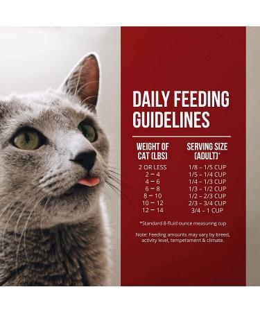 Fussie Cat Market Fresh Grain-Free Chicken & Turkey Dry Cat Food - 4lb Pack - Buy Online on GoSupps.com