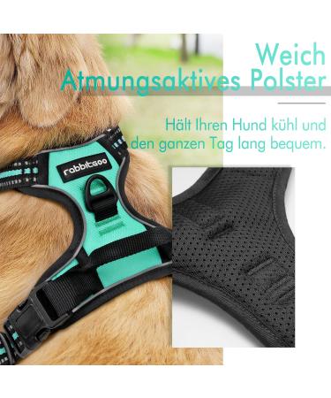 Rabbitgoo Medium Dog Harness - No Pull Adjustable Breathable Control Harness for Large Dogs - Reflex Stripes Safe Guide in Mint Green (1 Pack) - Buy Online on GoSupps.com