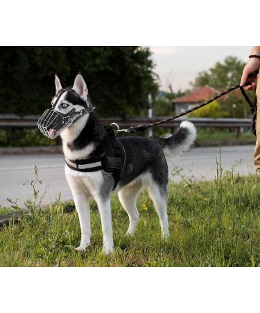 Metal Face Basket Dog Muzzle for Large & Medium Dogs | Breathable & Adjustable Leather Leash - Size M - Buy Online on GoSupps.com