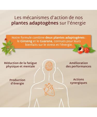 Mium Lab - Energy: Boost Boost & Reduction of Physical & Mental Fatigue - Adaptogenic Plants (Guarana & Ginseng) Caffeine Naturally Present and Vit C - Cure 21 Days - Made in France - Buy Online on GoSupps.com