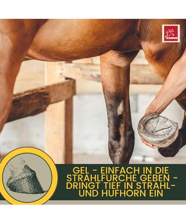 Fork care for horses I Fork protection Hoof care I Clog fork sole I Fork gel I Fork rot prevention I against moisture 100 ml - Buy Online on GoSupps.com