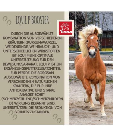 MSM Horse & Willow Bark Horse I MSM Liquid Horse I Equi P Pate Tendons Ligaments I Collagen Horse I MSM Horse Food Glucosamine Chondroitin - Flexible Joints + Vitamin 1 L 30 ml - Buy Online on GoSupps.com