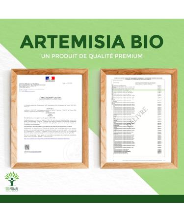 BIOPTIMAL - Artemisia Bio - Dietary supplement - 100% wormwood powder - Appetite Menstrual Cycle Kidney Health - Made in France - Ecocert certified - Vegan - 60 capsules - Buy Online on GoSupps.com