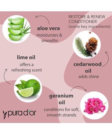 PURA D OR Restore & Renew Shampoo & Conditioner Set | Organic Aloe Vera Rosemary Sea Buckthorn | Strong Healthy Hair - International Shipping - Buy Online on GoSupps.com