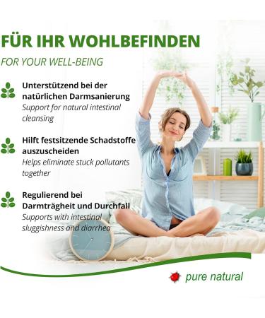 NPVital NL Psyllium husk capsules 100 psyllium husk powder intestinal digestion detox vegan and glutenfree 120 capsules by MoriVeda - Buy Online on GoSupps.com