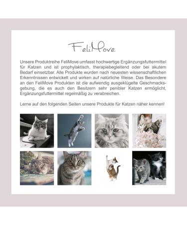 Felimove Urinary Doppelpack for Cats - Supplementary Feed for Lower Urinary Tract Health | 200 Capsules | Unique Ingredients & Four-Time Protection - Buy Online on GoSupps.com