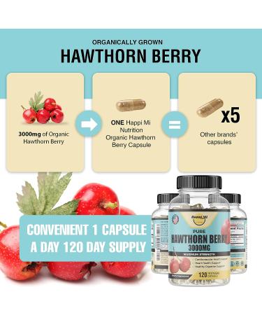 Happi Mi Nutrition Organic Hawthorn Berry 5:1 Extract 3000mg | 120 Veg Capsules | Immune & Circulatory Support, Antioxidant-Rich Formula | Non-GMO, Gluten-Free - Buy Online on GoSupps.com