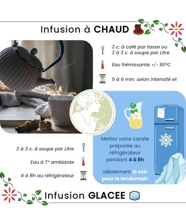 Ascenbio Rooibos Vert BIO Tisane Soir Rooibos non ferment vrac 180g Pr par et conditionn en France Emballage biod gradable - Buy Online on GoSupps.com