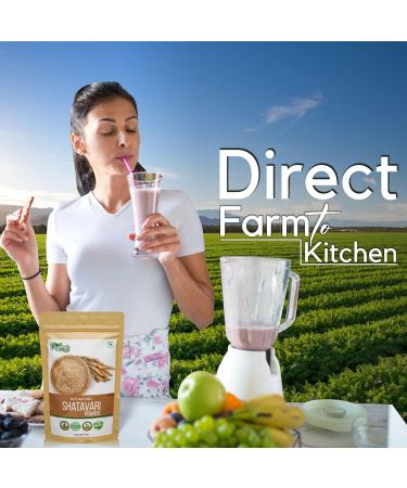 ORGANIC ZING Shatavari Powder Food Grade 454 g / 16 oz - Natural Plant Powder for Culinary and Daily Food Use 1 Pound (Pack of 1) - Buy Online on GoSupps.com