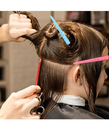 Acooruiteng Hair Clips for Styling Professional Alligator Clips Alligator Hair Clips with Holes Hair Styling Clips Duck Bill Clips for Hairdresser Women Men Barber Salon and Home 6 Pcs - Buy Online on GoSupps.com