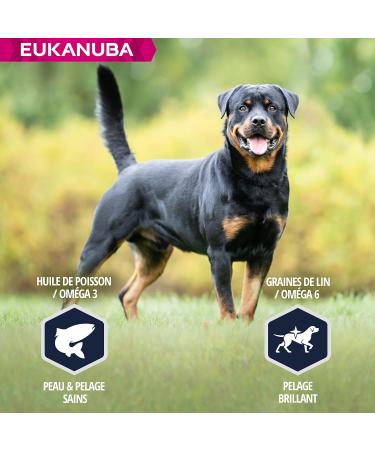 Eukanuba Dog Dry Food Rottweiler Chicken 12kg - Buy Online on GoSupps.com