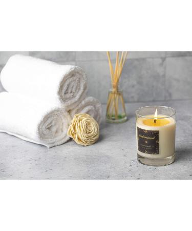 Shop Cedar Essence - Handcrafted 10.5 oz Cedarwood Soy Candle | Rich Room-Filling Aroma | Made in New York | International Shipping Available - Buy Online on GoSupps.com