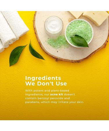 Tree Active 3-Step Acne Treatment Kit with Charcoal Face Wash, Bentonite Pimple Spot Clay, Salicylic Acid Moisturizer + Bonus Blemish Patches - 60-Day Supply for Teens and Adults - Buy Online on GoSupps.com