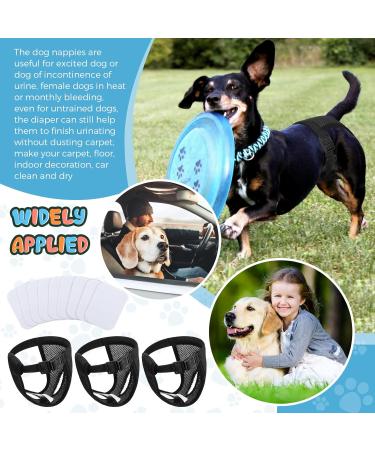 3 Pack Dog Diapers with 9 Women's Bands - XL Black Heat Sequence Underpants for Bitches | Washable Protective Pants - Buy Online on GoSupps.com
