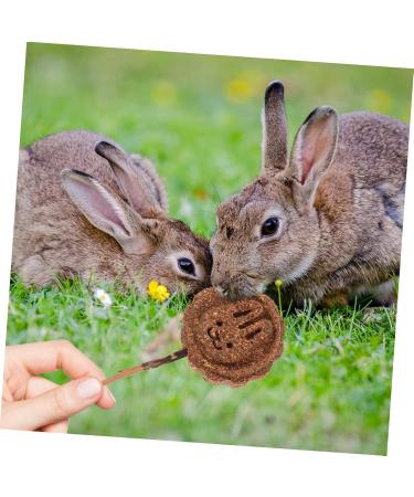 Hohopeti 10pcs Pet Lollipop Pet Chewing Sticks Hamster Chewing Playthings Guinea Pig Chew Plant - Buy Online on GoSupps.com