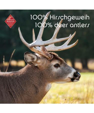 Chronobalance XL Deer Antlers for Dogs Natural Dental Chew Treats 100% Additive-Free Whole Pieces Perfect for Cake Stuffing XL Size - Buy Online on GoSupps.com