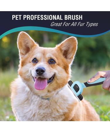 Professional Pet Brush for Cats & Dogs | Reduces Shedding & Tangles | Detachable Stainless Steel Comb | Soft Anti-Slip Handle - Buy Online on GoSupps.com