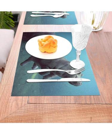 Baby Hippos Slip and Water Resistant PVC Woven Placemats | High Temperature Resistant - Buy Online on GoSupps.com