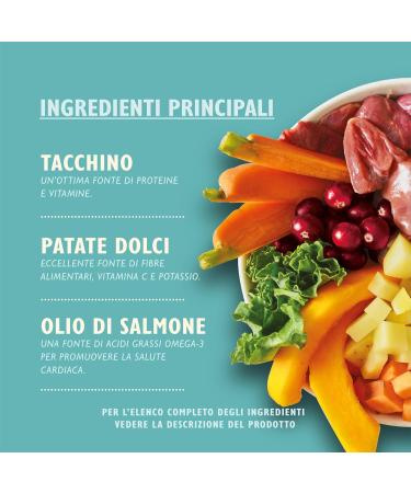 Lily's Kitchen Natural Wet Puppy Food with Duck & Turkey Grain Free Recipe (6 x 400g Can) - Buy Online on GoSupps.com