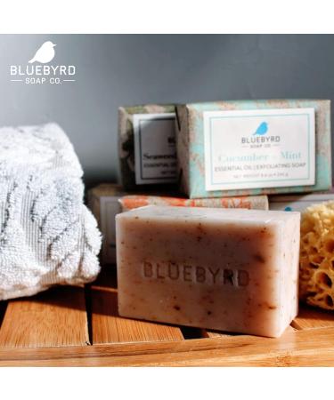 BlueByrd Soap Co. Exfoliating Essential Oil Soap Variety Set - 5-Pack Gift Box with Vegan Bars in Cucumber Mint, Lavender Thyme, Orange Clove, Seaweed Eucalyptus Scents - Buy Online on GoSupps.com