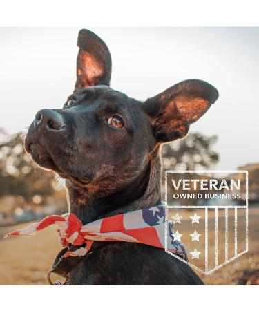 iHeartDogs Artisan Shadow Solar Lantern - 'Butterflies & Paws' Pet Memorial Gift - Honoring Your Departed Pet by Feeding 7 Shelter Pets - Buy Online on GoSupps.com