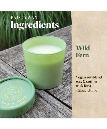 Shop Paddywax Firefly Optimist Scented Candle - 7oz Soy Wax Wild Fern Fragrance Reusable Glass Jar | International Shipping Available - Buy Online on GoSupps.com