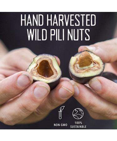 Pili Hunters Wild Sprouted Pili Nuts - Pink Himalayan Salt 5oz Bag | Keto/Paleo/Vegan Superfood Snacks | Low Carb, Gluten Free, No Sugar Added, Energy Boost | 5 Ounce Pack - Buy Online on GoSupps.com