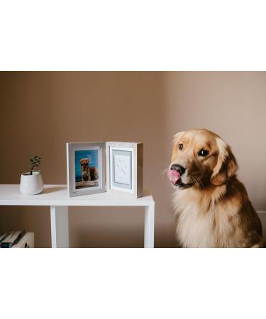 Pearhead Pet Paw Print Photo Frame - DIY No Mess Keepsake Kit for Cats & Dogs | Ideal Memorial Gift in Distressed Gray - Buy Online on GoSupps.com