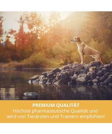 Sensiphar Echinacea Immune Booster Drops for Pets - Homeopathic Echinacea for Dogs Cats Birds & Rodents 100ml - Natural Pet Health Solution - Buy Online on GoSupps.com