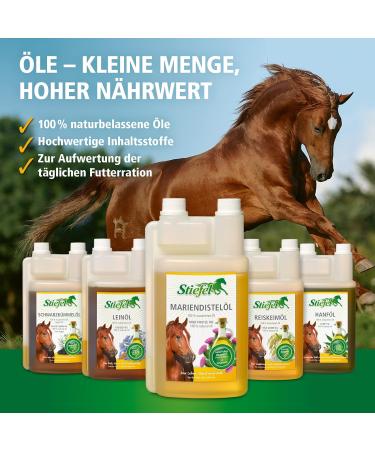 Stiefel Milk Thistle Oil 1 l - Buy Online on GoSupps.com