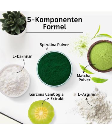 THEANEX Original Formula 2024 - Matcha Spirulina L-Carnitine & Garcinia Cambogia Supplements | 60 Capsules - International Shipping Available - Buy Online on GoSupps.com