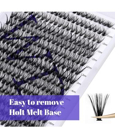 300PCS DD Curl 40D 0.07mm Cluster Lashes Extension - DIY Eyelash Extensions Kit - Mixed Lengths 8-16mm - Wide Stem Individual Eyelashes - Full Set for Home Use - Cluster-40D-0.07-DD-MIX8-16 RR-8-16mm - Buy Online on GoSupps.com