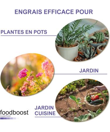 Sel d'Epsom pur 1 kg Foodboost 100% naturel riche en magn sium efficace pour la beaut du corps de la peau et des cheveux excellent comme fertilisant - Buy Online on GoSupps.com