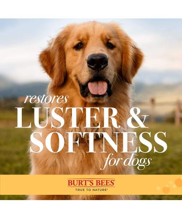 Burt's Bees Slicker Brush for Puppies - Gentle Grooming Tool | 1 Count - Buy Online on GoSupps.com