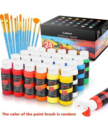 Caliart Acrylic Paint Set - 24 Colors (59ml/2oz) with 12 Brushes - Ideal for Artists, Kids, Beginners - Easter Basket Stuffers - Pumpkin Canvas, Ceramic, Rock Painting Supplies - Buy Online on GoSupps.com
