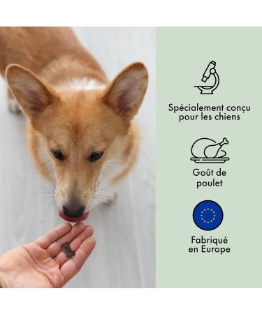 Belly 100 Canine Bone & Joint Treats - Green Lipped Mussel for Dogs MSM Glucosamine Boswellia - Chicken Flavor - Joint Care for Dogs - Dog Food Supplement 300g - Buy Online on GoSupps.com