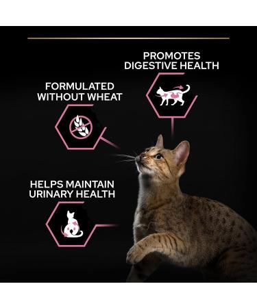 Pro Plan Sensitive Digestion Sterilised Adult Dry Cat Food Chicken 3kg - For Neutered Cats - Buy Online on GoSupps.com