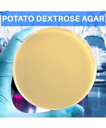 Agar Variety Kit by Evviva Sciences - Premium Performance for Mushrooms & Science Projects - Buy Online on GoSupps.com