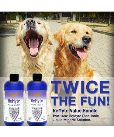 RnA ReSet ReMyte Electrolyte Mineral Solution Liquid Multi Mineral 480ml - 12 Minerals with Iodine, Selenium, Zinc, Magnesium - 2-Pack by Dr. Carolyn Dean - Buy Online on GoSupps.com
