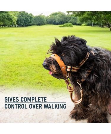 Alpha Boy Dog Training Collar | Comfortable Real Leather Harness for All Breeds | Easy-to-Use with Quick Lock Buckle (XXL) - Buy Online on GoSupps.com