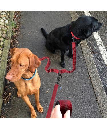 Tycoonest 2 PCS Double Dog Leash for Walking 2 Dogs Adjustable Double Dog Lead Coupler No Tangle 360 Swivel Rotation Dual Strong Lead for Puppy Small Medium Large dog Red - Buy Online on GoSupps.com
