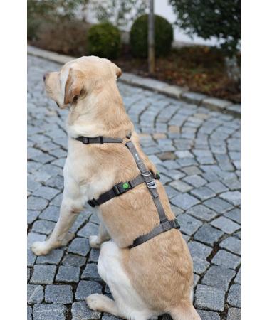 Kerbl 80040 Escape-Proof Panic Harness - Grey 38-52cm | International Shipping Available - Buy Online on GoSupps.com